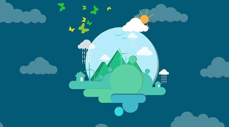 欣小逸食用指北